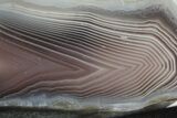 Polished Botswana Agate - Botswana #247992-1